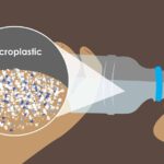 Microplastics in Your Blood