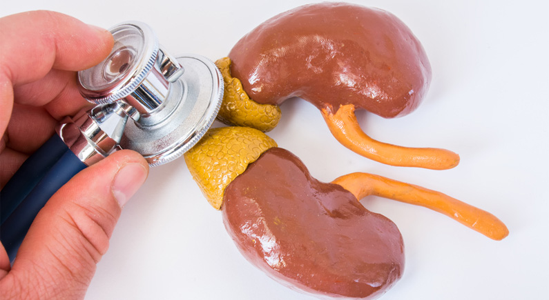 Adrenal Fatigue
