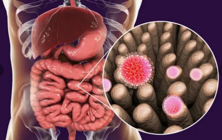 Health & Viral Infections